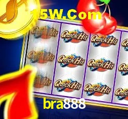 Sistemas de Segurança bra888